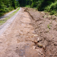 Wegrand weggefräst bis auf die Wurzeln! © Foto: IPP (abs)