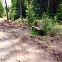 Gemütliche Ruhebank!?   © Foto: IPP (abs)