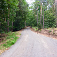 Wandern: nicht mehr auf einem Waldweg, sondern einer Waldautobahn für 40-Tonner!  © Foto: IPP (abs)